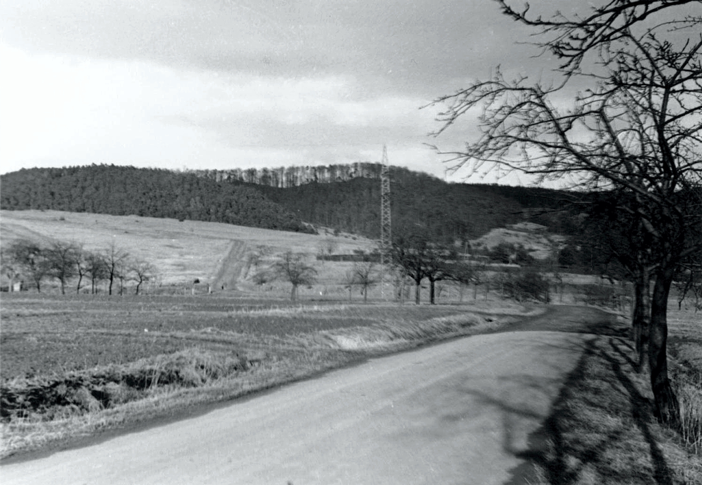 Blick auf einen Teil des Geländes, auf dem die „Deutsche Kaserne“ entstehen soll. Foto: A. Benner
