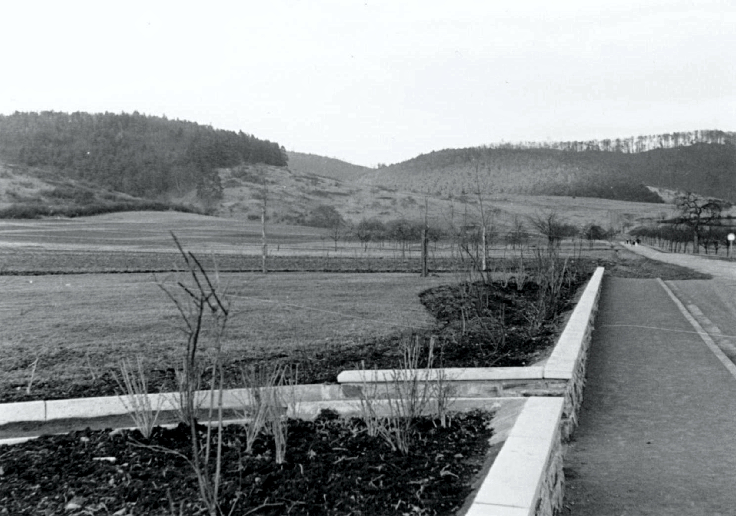 Im mittleren Bildbereich das Gelände für die Wohnungen, vorne die Einfriedung der Hauptschule Herbornseelbach, im Hintergrund das Gelände, auf dem die Kaserne errichtet werden soll. Rechts ist die Hohe Straße zu sehen. Foto: A. Benner